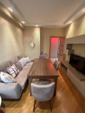 Spacious Apartment in Yerevan